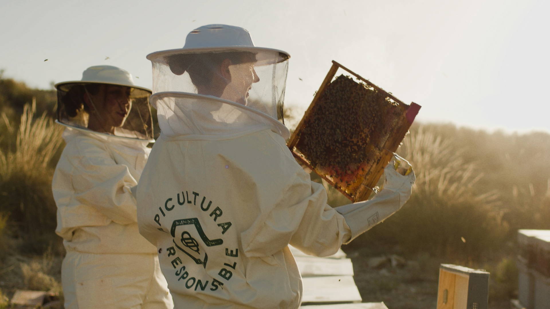 Compromiso con las abejas